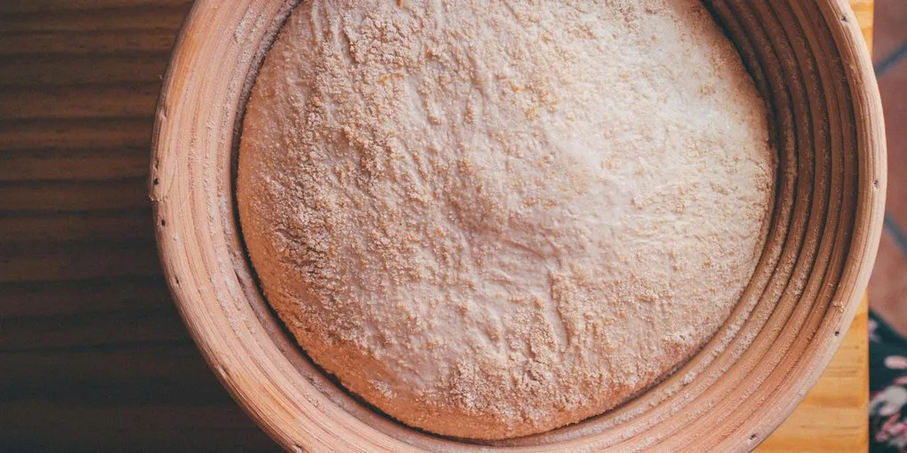 Why Cold-Fermented Pizza Tastes Sharper: The Acetic Acid Secret