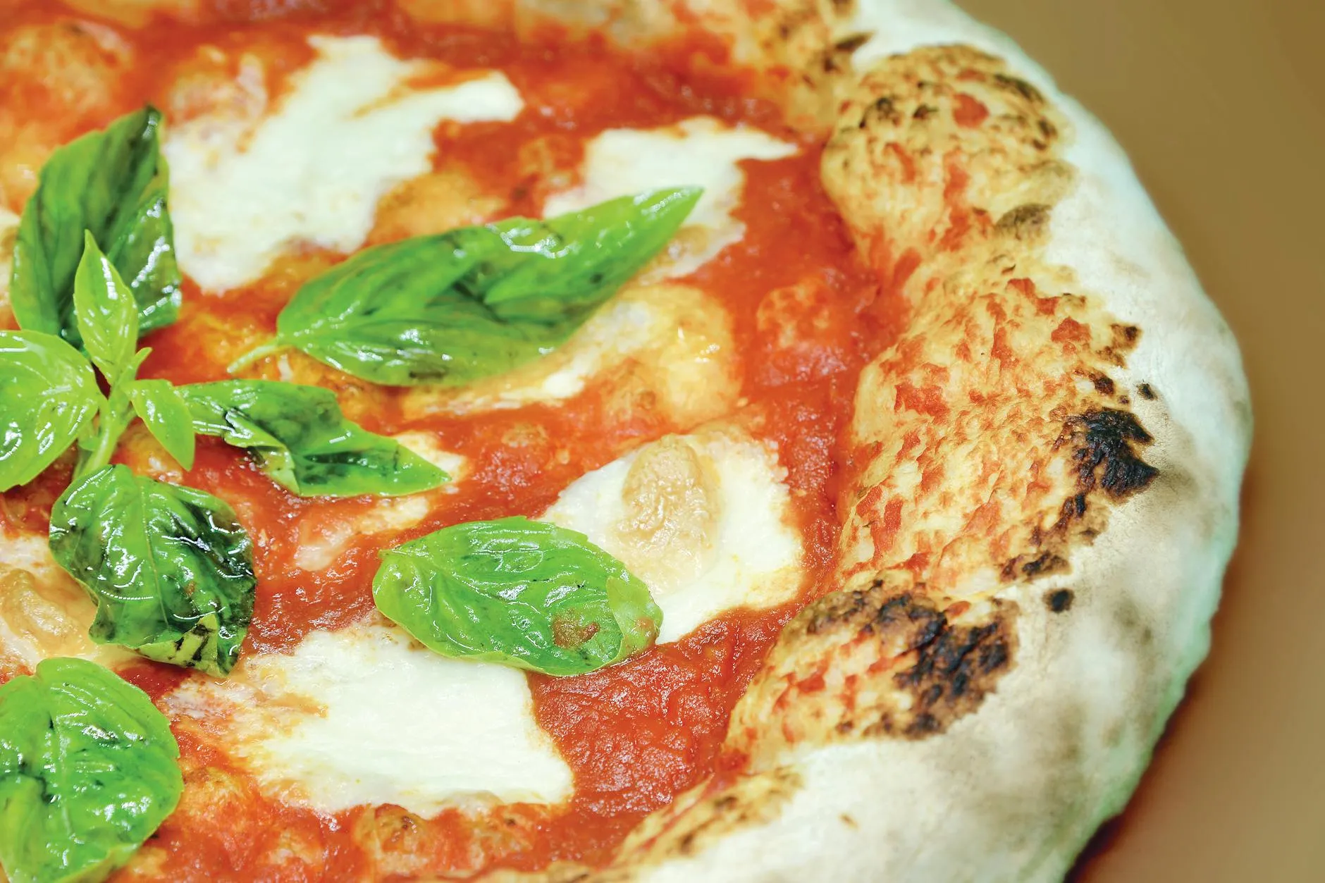 Fresh Basil, Dried Oregano, and Herbs on Pizza: When and How