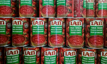 San Marzano vs. Crushed Tomatoes: Does the Tomato Really Matter?