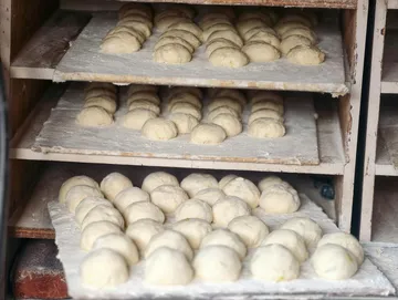 How Yeast Works in Pizza Dough