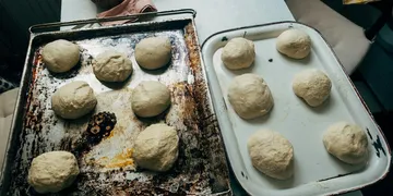 Maturation vs Fermentation: Pizza Dough Terms Explained
