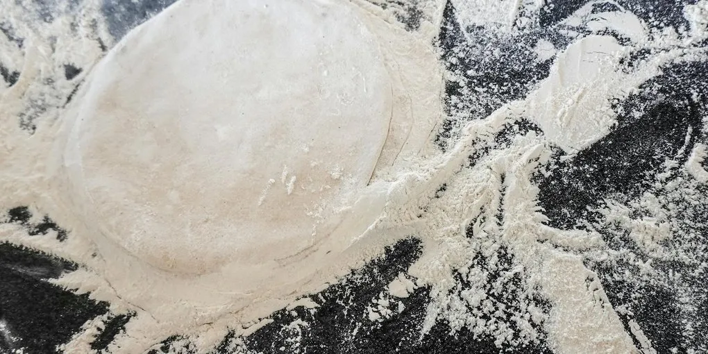 Gemignani's Master Dough with Tiga Starter: Competition-Level Pizza at Home