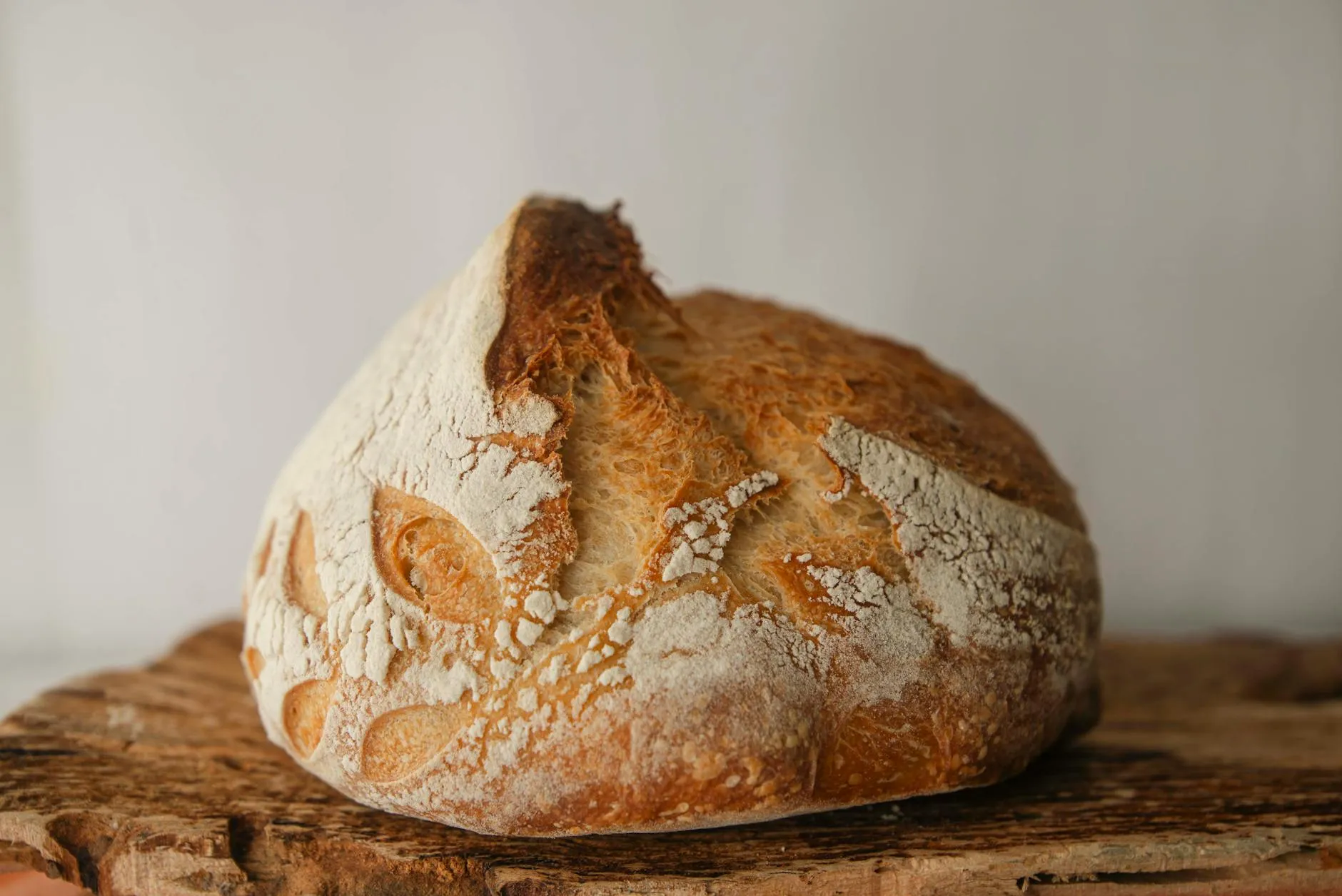 Sourdough Pizza Dough: Adapting Your Starter for Pizza