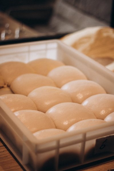 Pizza dough balls resting in a flat plastic dough tray